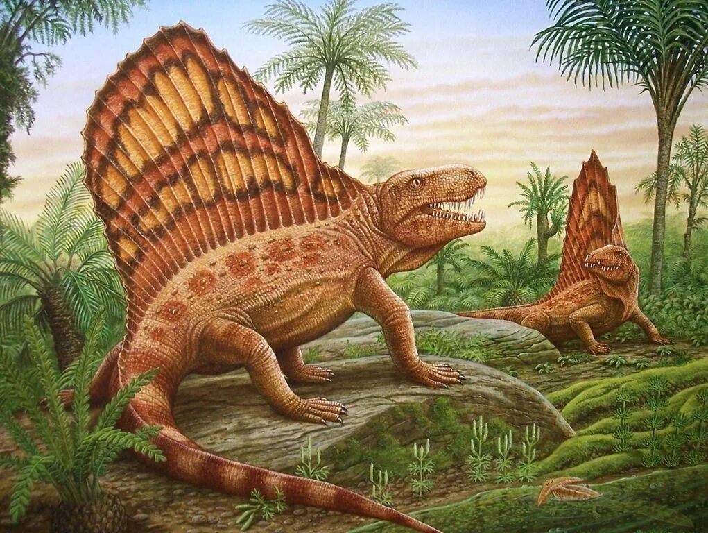 Древний предок рода. Пермский период Диметродон. Диметродон динозавр. Пеликозавры Триасового периода. Мезозойская Эра пеликозавры.