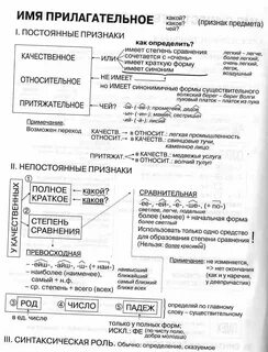 Что такое морфологические признаки прилагательного