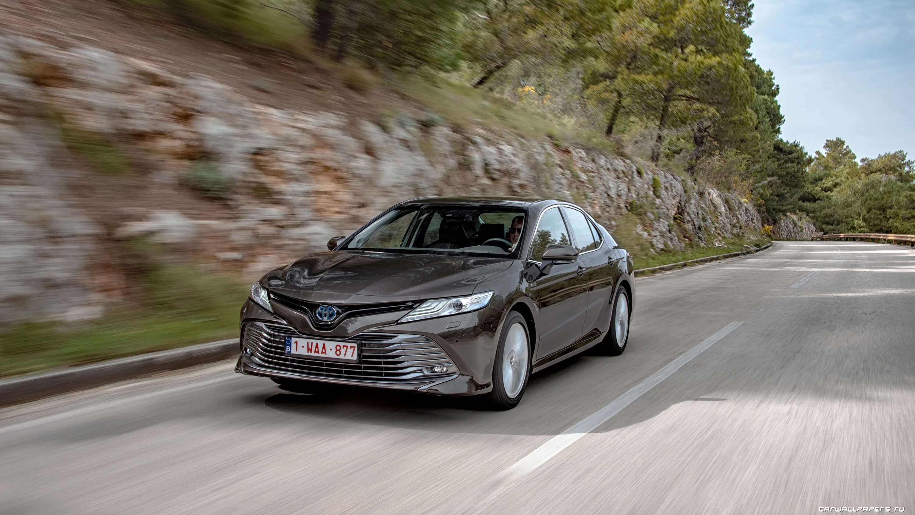 автомобили тойота 2019 года
