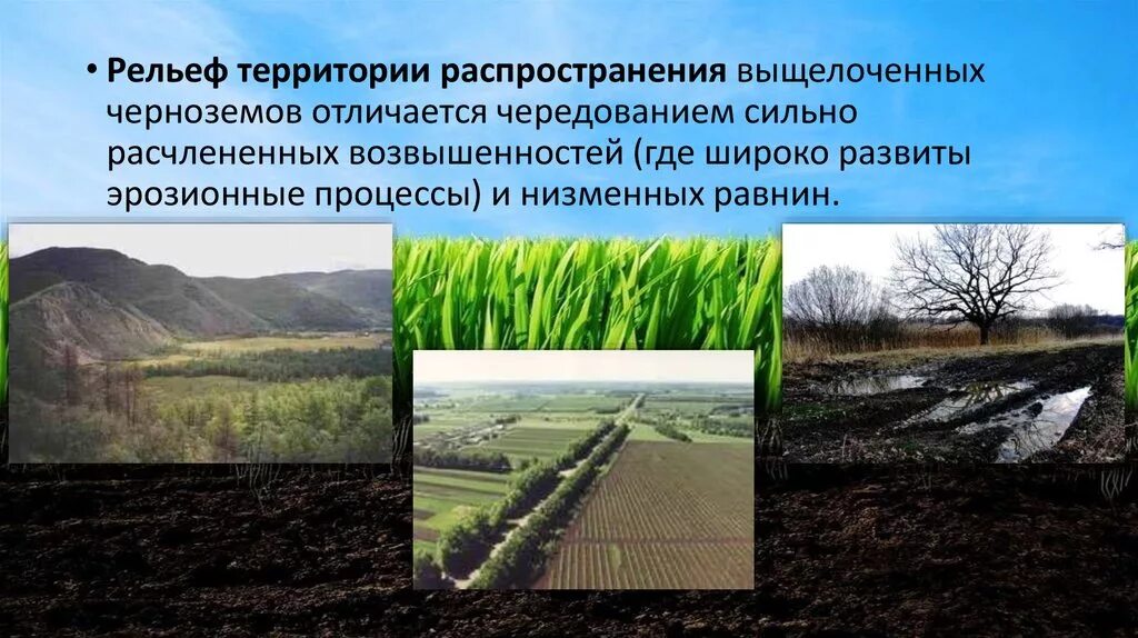Чем отличается чернозем от плодородной земли. Рельеф чернозема. черноземные почвы рельеф. предкавказские карбонатные и выщелоченные чернозёмы..