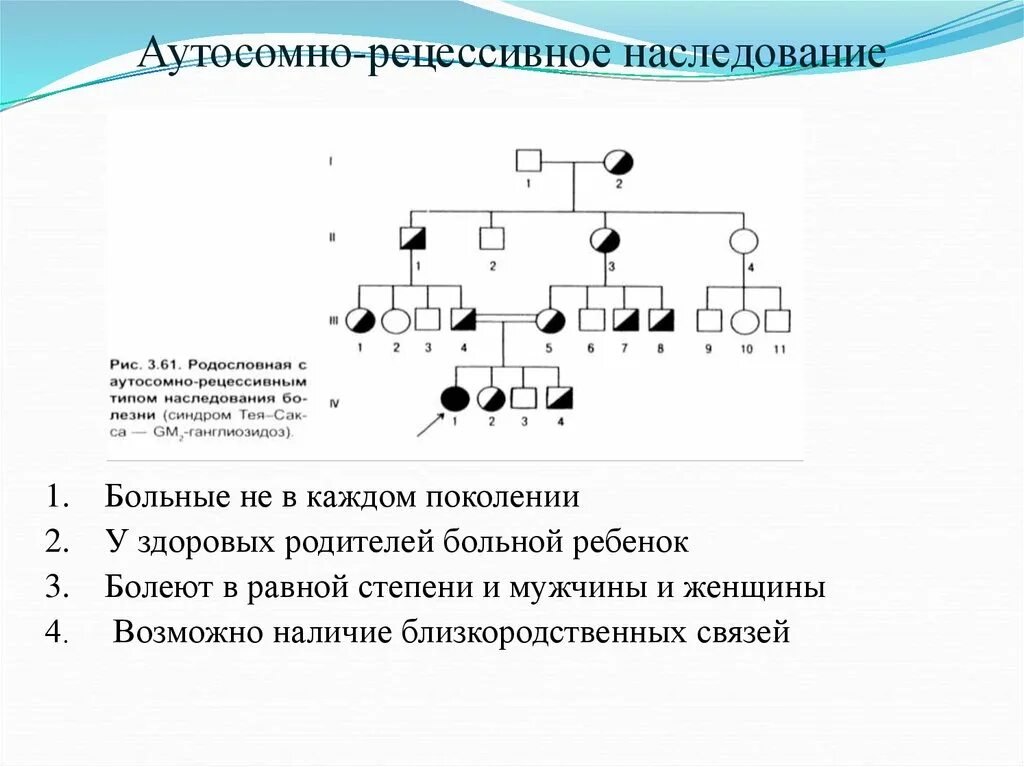 Рецессивно доминантный тип наследования. Ауто рецессивный Тип наследования. Родословная с аутосомно-доминантным типом наследования. Аутосомно рецессивный родословная. Типичный брак при аутосомно-рецессивном типе наследования признака.