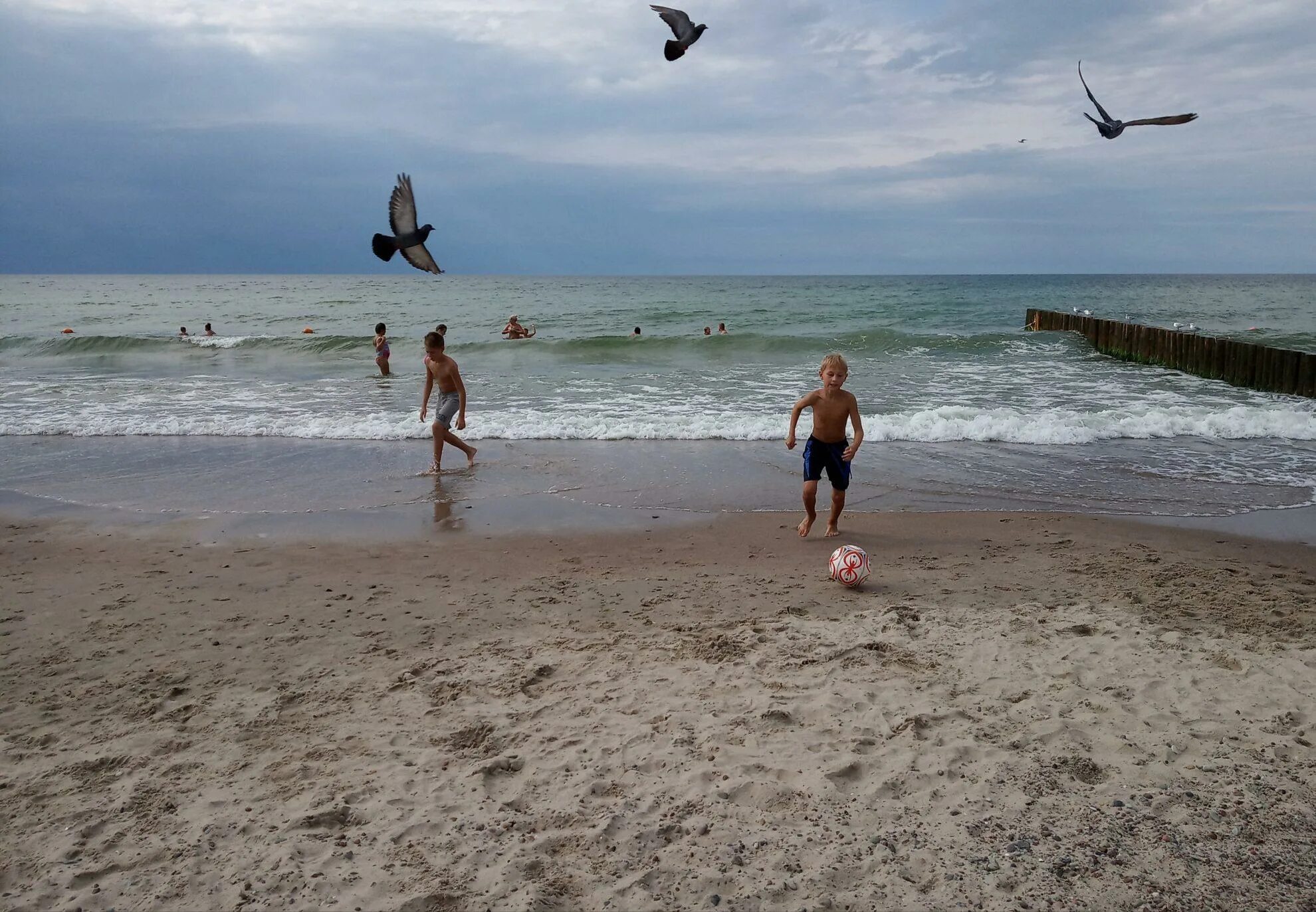 Температура воды моря зеленоградск. Зеленоградск колясочный пляж. Зеленоградск городской пляж. Зеленоградск море. Зеленоградск море в августе.