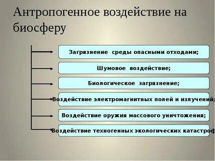 Антропогенные состояние