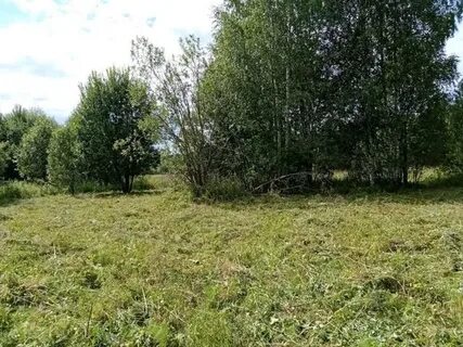 Кадастровая череповец
