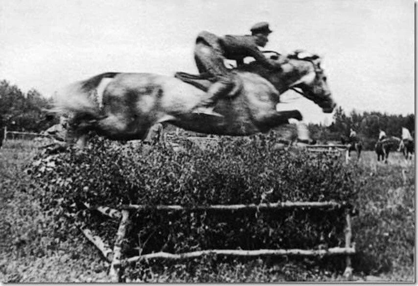 Гонит всадник. Конный пробег Ашхабад Москва 1935 участники. Лошадь прыгает через барьер без всадника. Конного пробега Ашхабад - Москва в 1935.