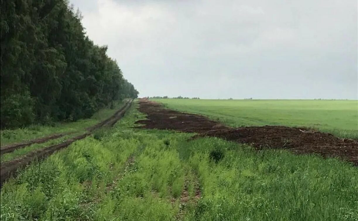 Новопокровское тульская. Богородицкое новопокровское.