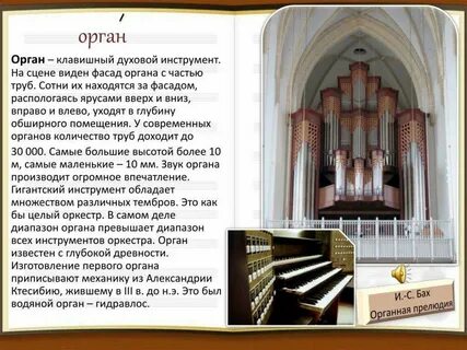 Создание какого нового органа