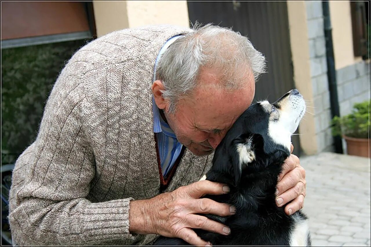 дед хозяин. дед хозяин. дед хозяин. старики и животные. пожилой мужчина с собакой.