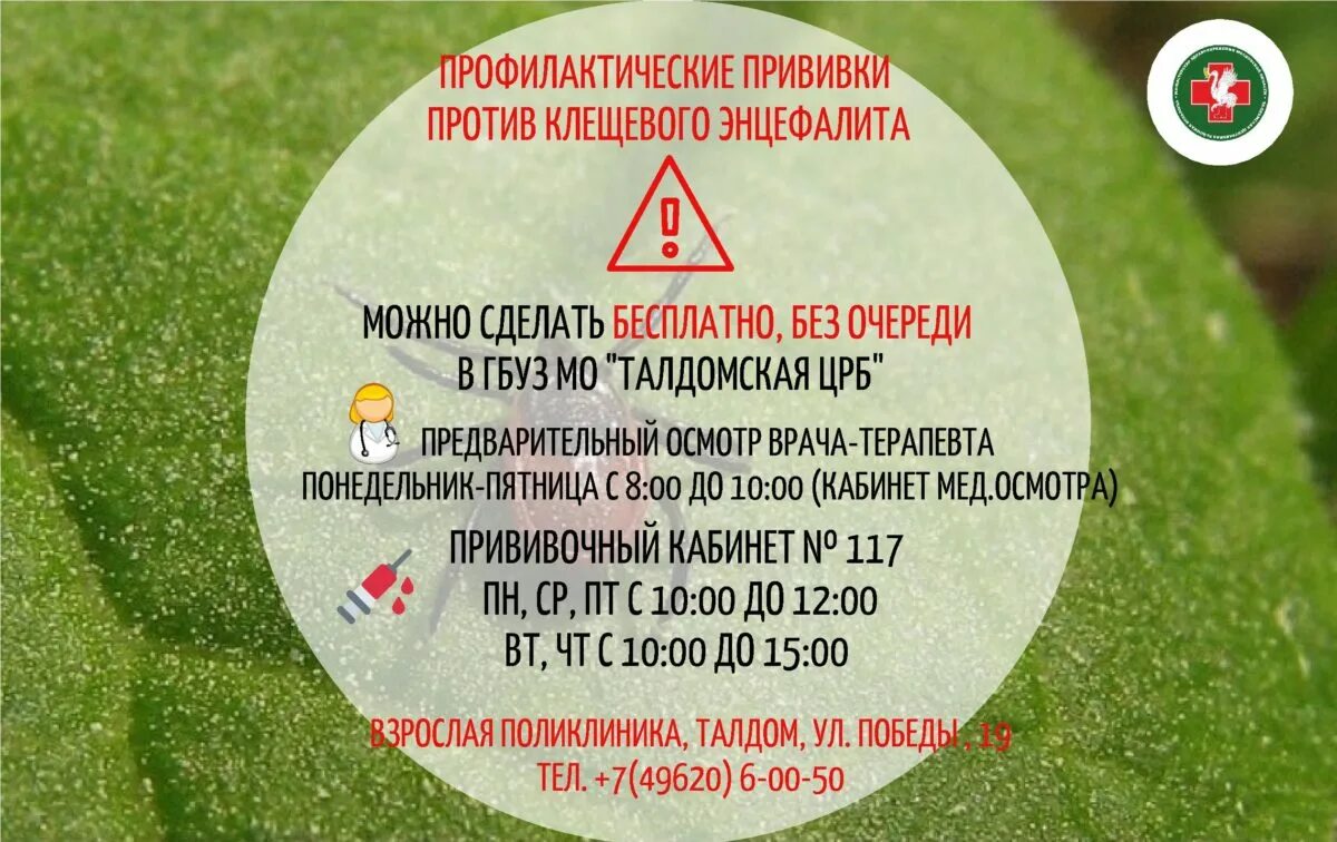 Вакцинация против клещевого энцефалита. Памятка прививки от клещевого энцефалита. Вакцинация от клеща памятка. Вакцинация против клещевого энц. Прививка от клещевого энцефалита собаке