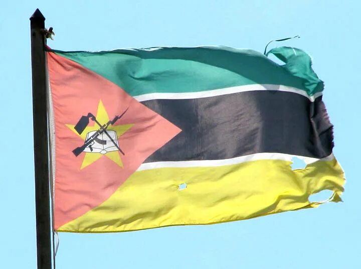 зелёный флаг со звёздами. 2 желтых звезды и зеленое дерево. красивое зеленое дерево. могучее зеленое дерево. флаг сан томе.