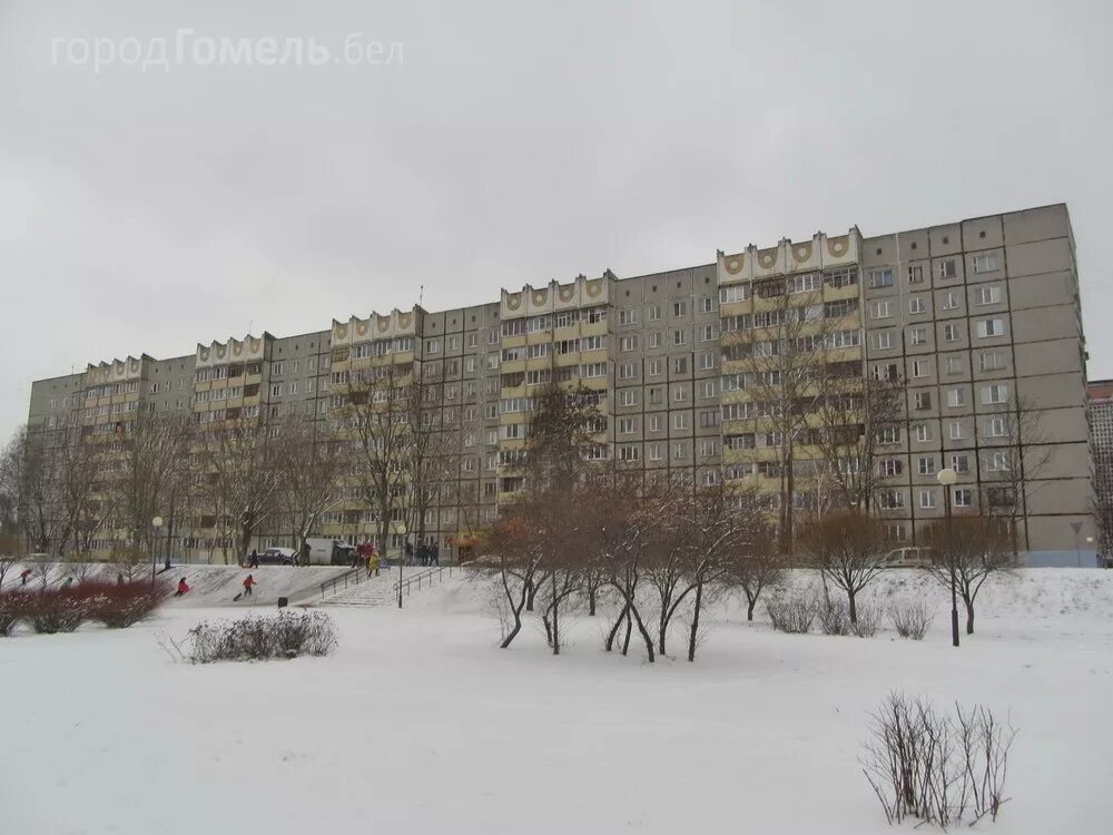 Гомель бровки. Улица Петруся бровки Гомель. Гомель улица п бровки. Г. Гомель, ул. по. Бровки. Ул бровки 5 зимой фото.