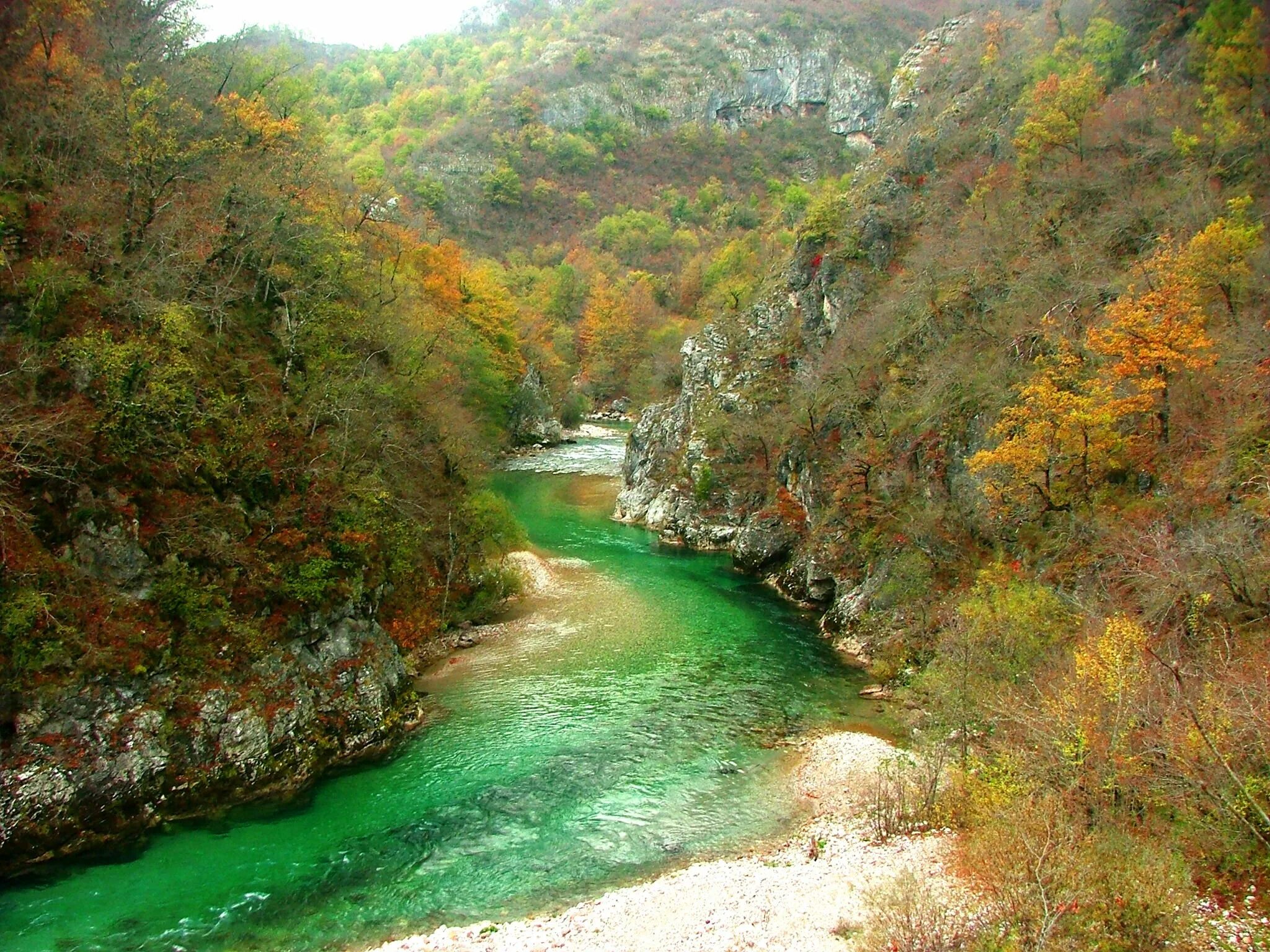 Лаба зеленая. Неретва (река). Неретва Босния Ябланица. Река Неретва плотина. Река Босна.