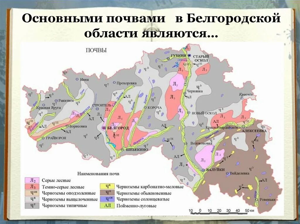 Карта почв Белгородской области по районам. Карта почв Белгородской области. Карта почвенного Покрова Белгородской области. Карты плодородия почв Белгородской области. Природные зоны по степени плодородия