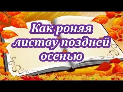 Поздней осенью я посадил молодые