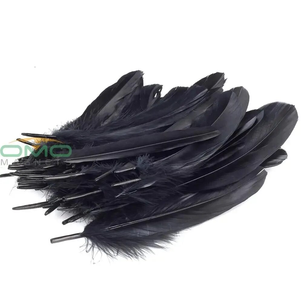 Feather 6