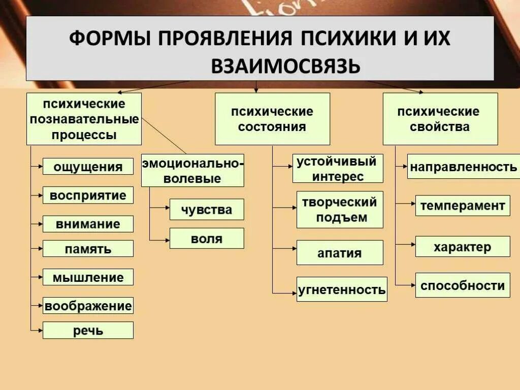 Патологии психической деятельности. Перечислите основные формы проявления психики. Назовите основные формы проявления психики. Основные формы проявления психики и их взаимосвязь схема. Формы проявления психики и их взаимосвязь психический процесс.