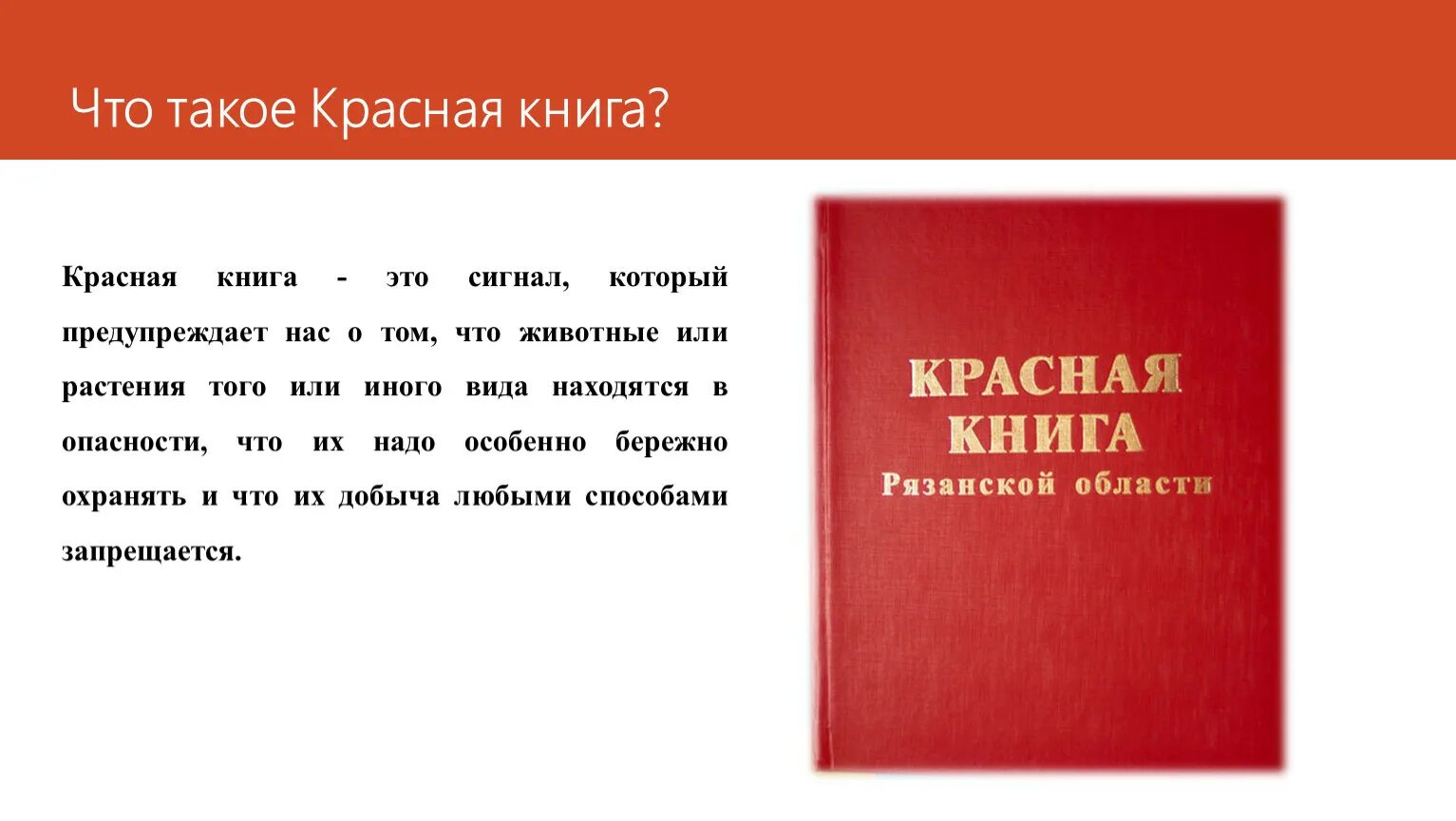 Эко - краеведческий час "Красная книга родного края" 2025, Рыбновский район - да