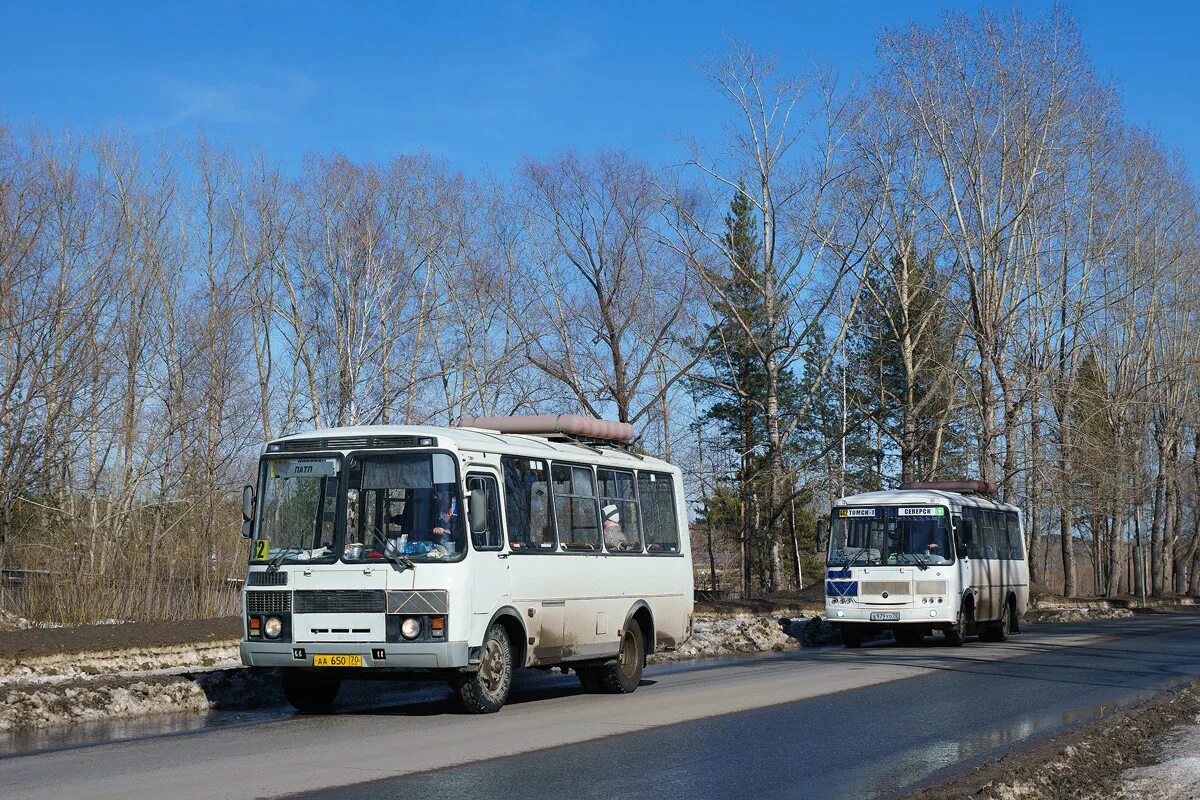 Пазик Северск. Пазик Северск 442 маршрут. Пазик Северск 31/32 маршрут. ПАЗ Северск.