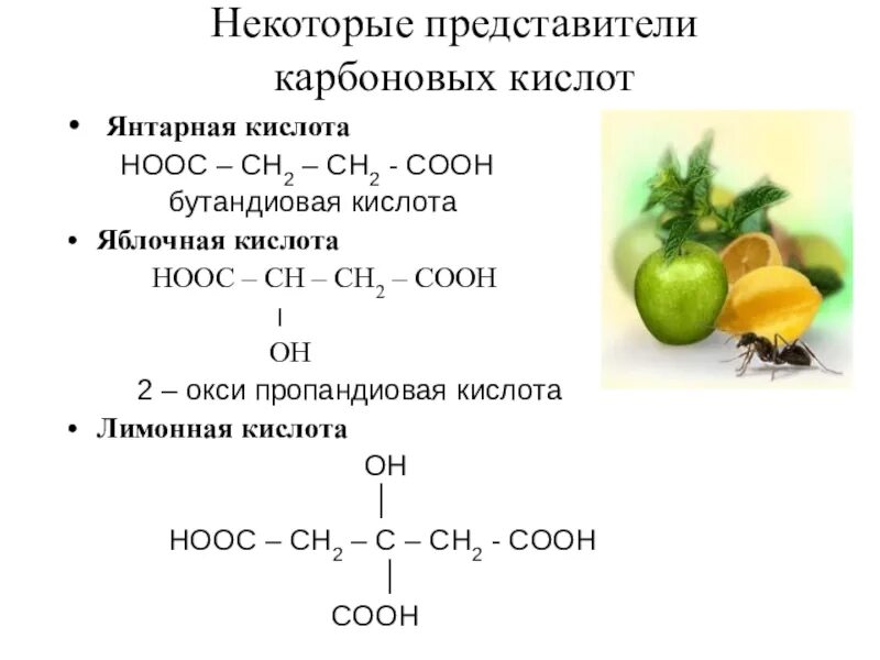 Hooc ch. Представители карбоновых кислот презентация. Пропандиовая кислота. Янтарная кислота качественная реакция. Дегидрирование янтарной кислоты in vivo.