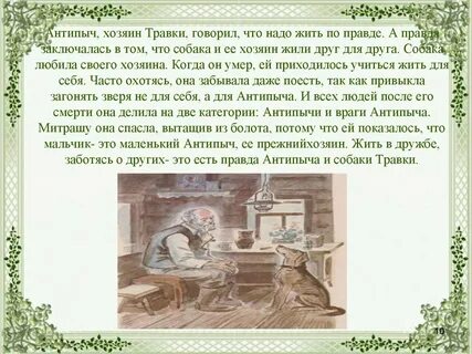 Кладовая солнца травка