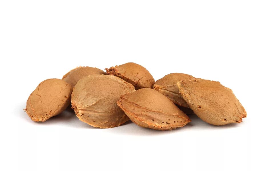 Косточка от абрикоса. Косточки от абрикосов. Косточка от абрикоса. Абрикос косточка ядрышко. Абрикосовая косточка.