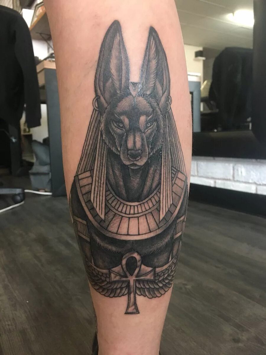 тату анубис на предплечье. что значит тату анубис. тату египетские анубис. что значит тату анубис. анубис на предплечье.