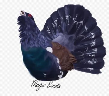 Без глухарь
