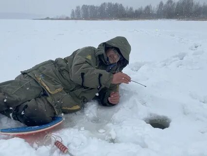 Охотники леденящие