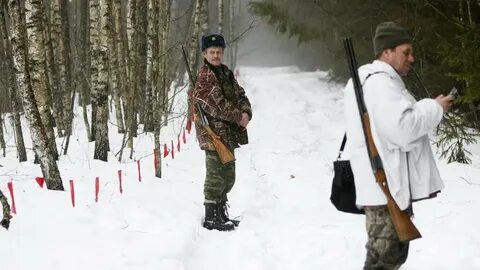 Штраф за отстрел