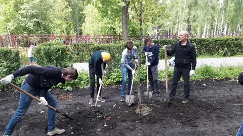 Тульская область новомосковск саженцы