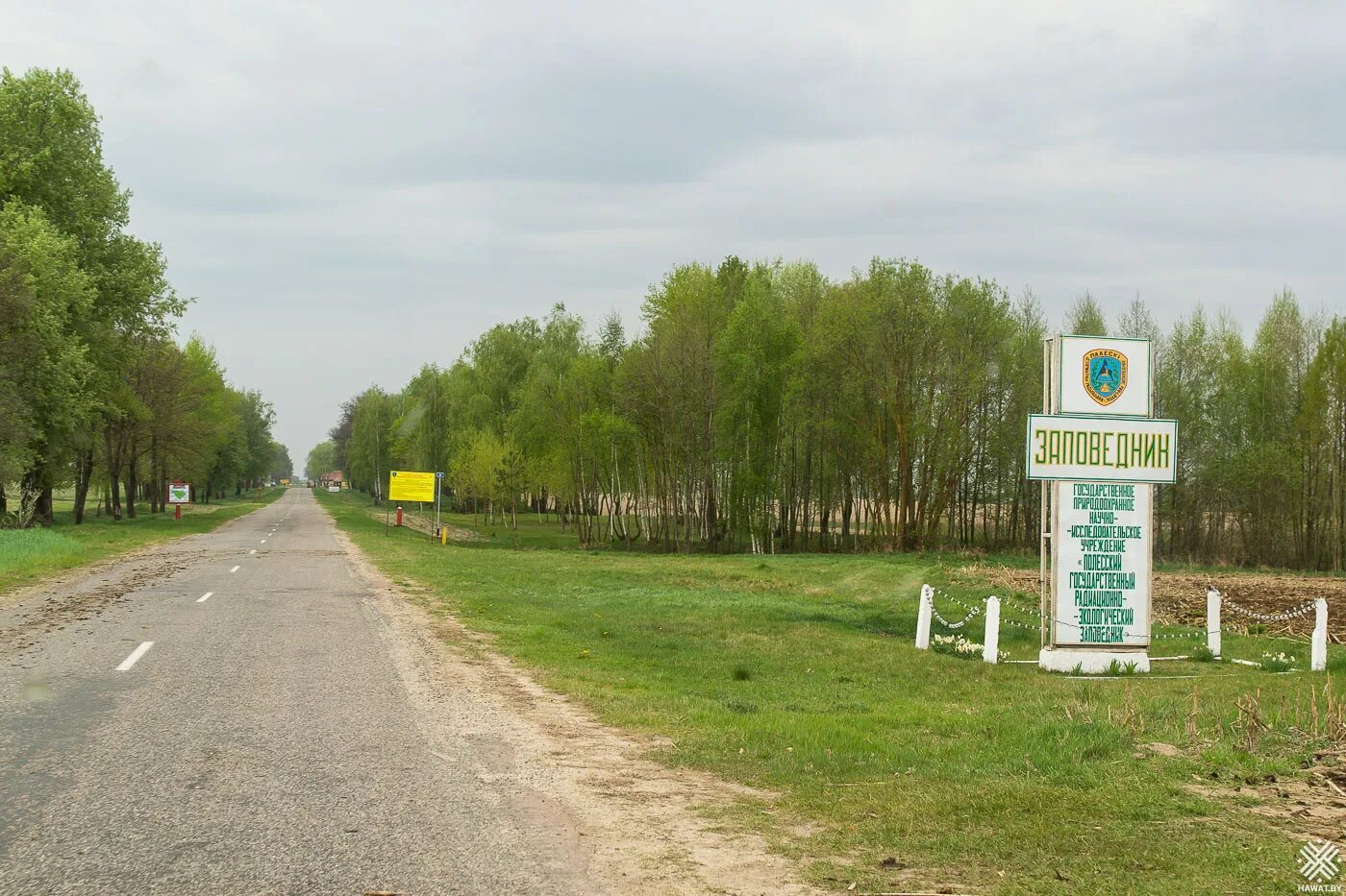 Полесский радиационно-экологический заповедник. Белорусский радиационный заповедник. Полесский заповедник Беларусь. Полесский радиологический заповедник. Радиационной экологии гомель