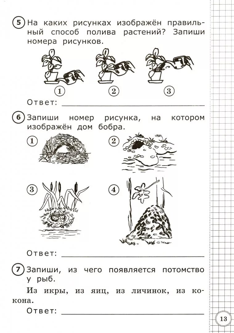 Задания для первого класса окружающий мир. Упражнения по окружающему миру 1 класс. Окружающий мир 1 класс задания. Задания по окружающему миру 1 класс.