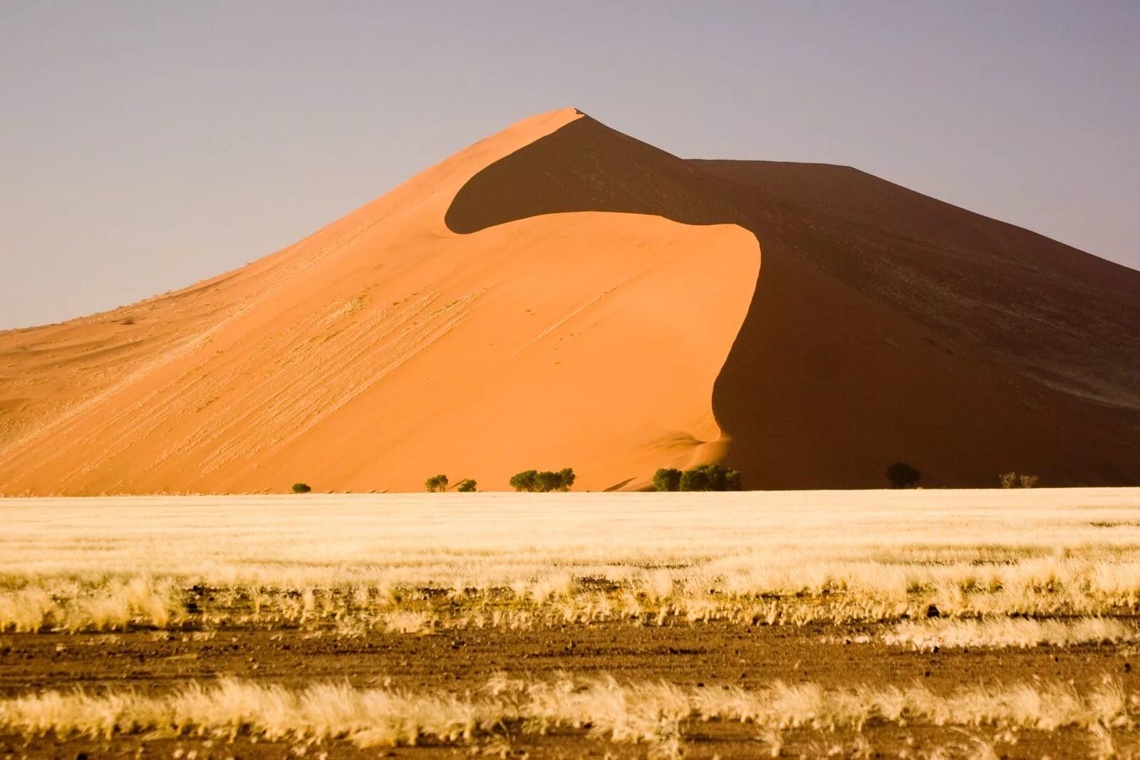 Наибольшая пустыня в мире. Пустыня Намиб дюны. Песчаные дюны Калахари. Соссусфлей красные дюны Намибии. Песчаные дюны пустыни Намиб.