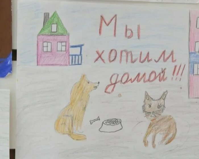 Бережное отношение к животным 3 класс рассказ. Бережное отношение к животным рисунок. рисунок на тему бережное отношение к животным. рисунки бережного отношения к домашним животным. рисунки отношение к бездомным животным.