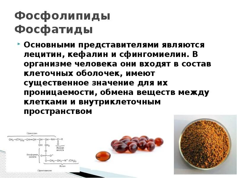Лецитин является веществом дефицит которого влечет повышенную