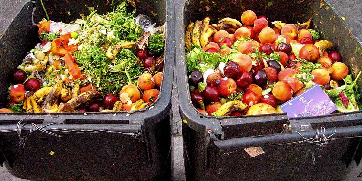Отходы общественного питания. Мусор пищевые отходы. Утилизация пищевых отходов. Контейнер для овощей. Отходы овощей и фруктов.