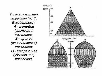 Типы возрастного состава населения