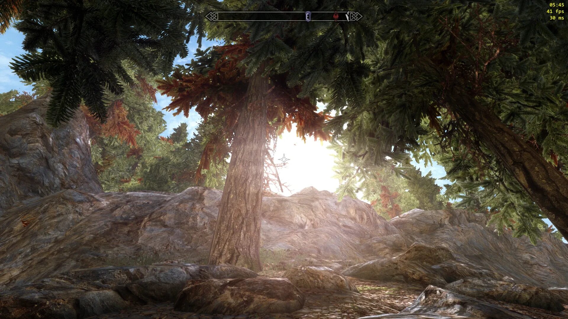 Nat enb. Skyrim se forest. rudy enb. rudy enb skyrim. скайрим страж леса.