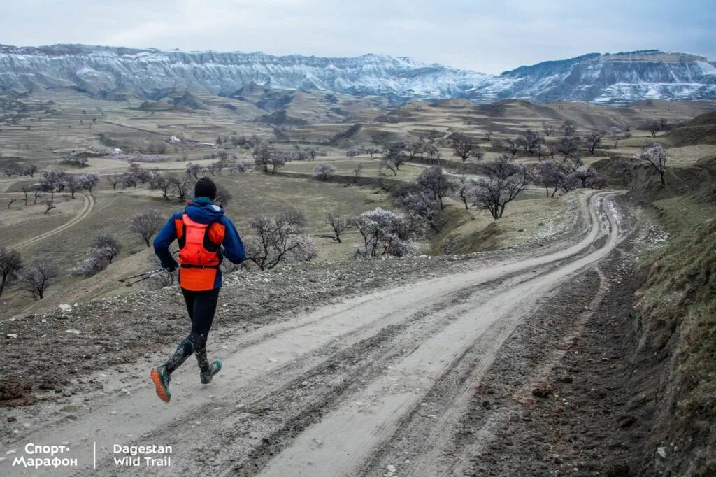 Dagestan wild trail 2023 фото последние 3 горы. Дагестан трейл 2023 wild trail. Wild trail футболка. Dagestan wild trail 2023. Дагестан wild trail.