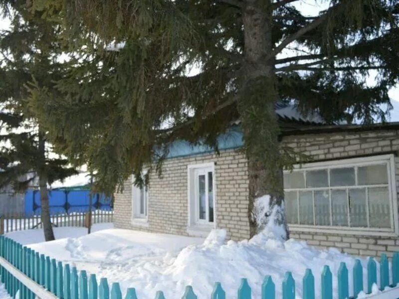 Жуковка алтайский край. Дача жуковка. Боровиково — село в павловском районе алтайского края. Жуковка алтайский край. Деревня жуковка мордовия.