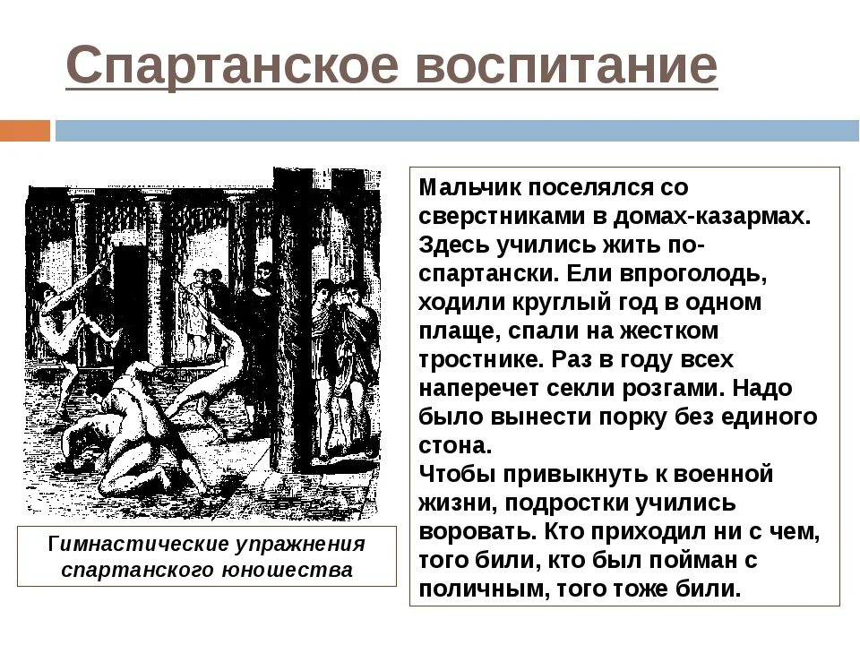 Древняя спартанское воспитание. Спартанское воспитание 5 класс. Спартанское воспитание 5 класс история. Спартанское воспитание ВПР 5 класс. Воспитание юношей в Спарте 5 класс.