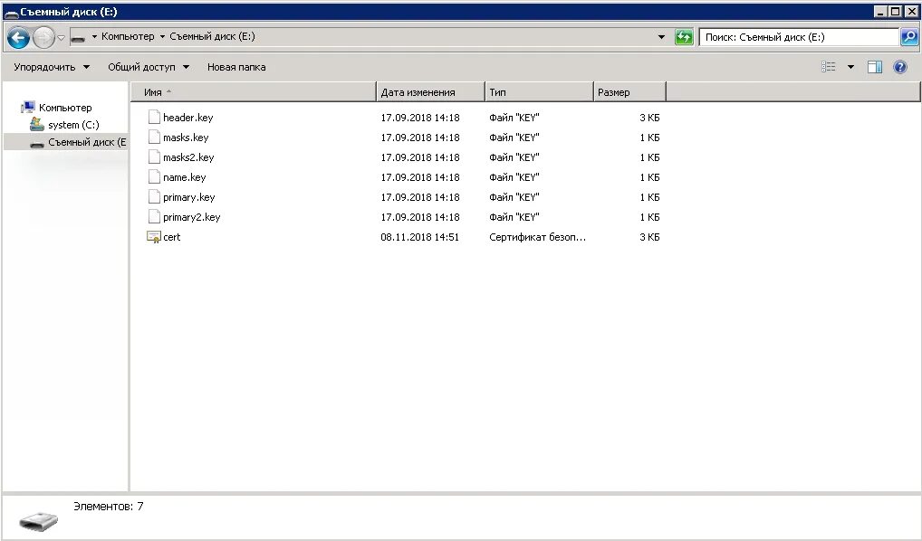 Как выглядит ключ ЭЦП на флешке. Файловый ключ. Если ключ установить локальный компьютер. Header key