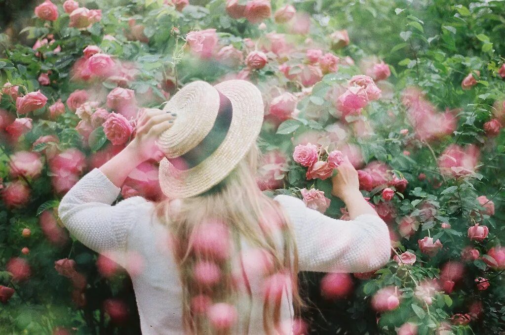 Блондинка с цветами со спины. Девушка в цветах спиной. Девушка с розовыми розами. Девушка в саду роз. Ни минуты без
