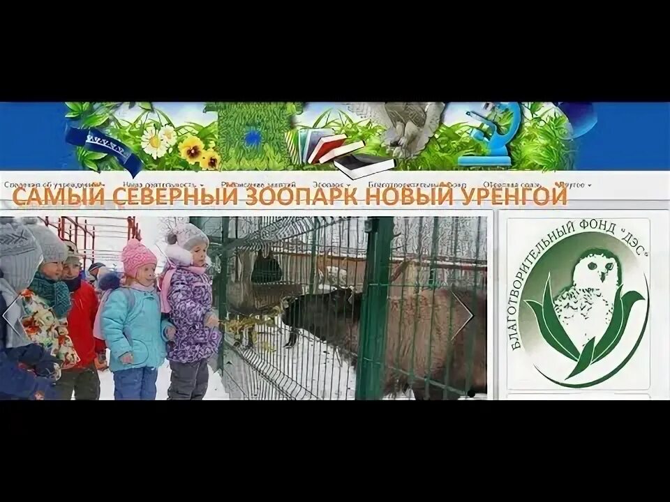 Детская экологическая станция уренгой. Детская экологическая станция уренгой. Детская экологическая станция новый уренгой. Животные новый уренгой. Детская экологическая станция новый уренгой.