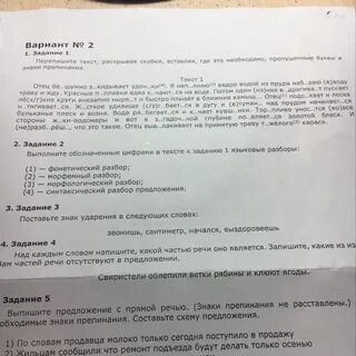 Впр папа