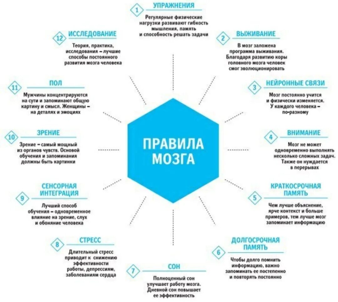 Правила мозга. Правила работы мозга. Лучшее время для работы мозга. Работа мозга инфографика. Безопасность лучшие практики