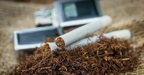 Tobacco reviews