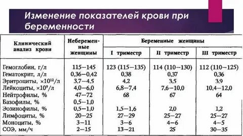 Норма анализов при беременности 1 триместр