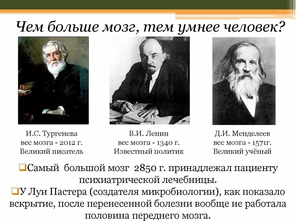 Какова масса мозга. Вес мозга Тургенева. Тургенев мозг самый большой. Мозг Тургенева весил. Масса мозга Ленина.