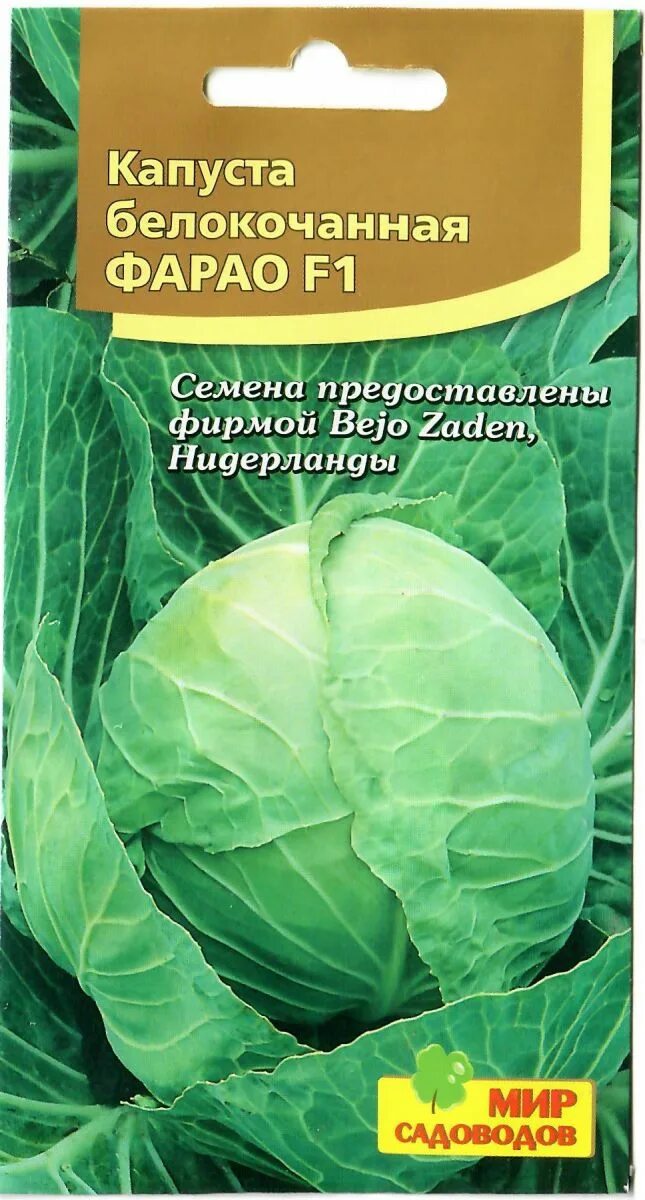 Капуста сорт фарао. Фарао f1 капуста. капуста ранняя фарао. фарао семена.